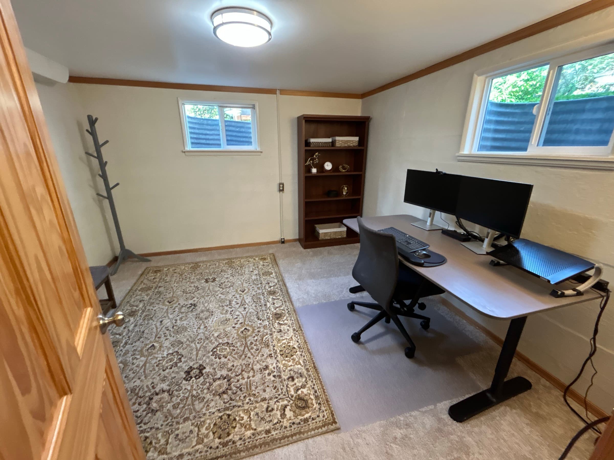 Basement office / bedroom