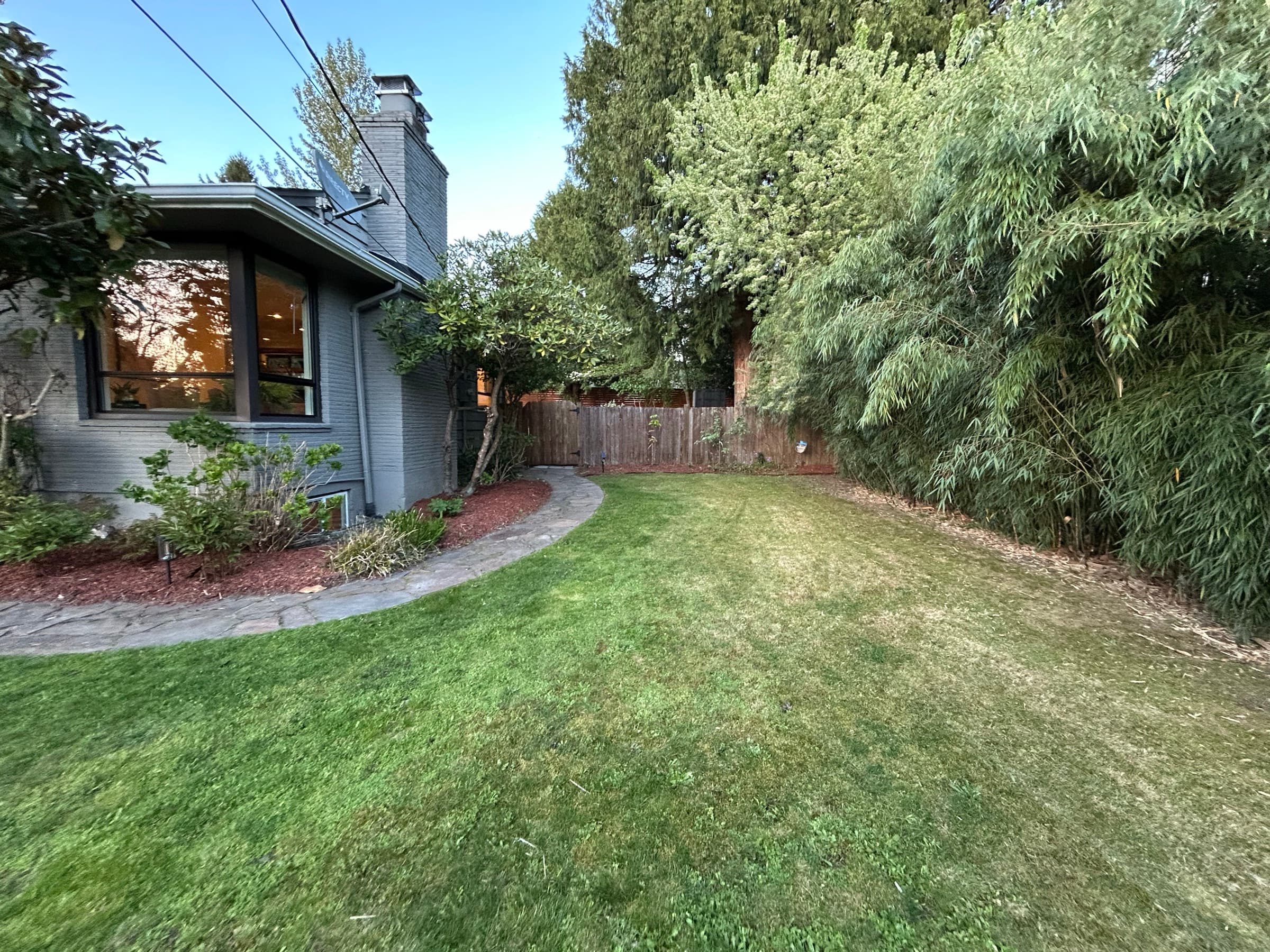 Side yard along DADU driveway path